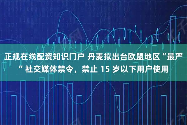 正规在线配资知识门户 丹麦拟出台欧盟地区“最严”社交媒体禁令，禁止 15 岁以下用户使用