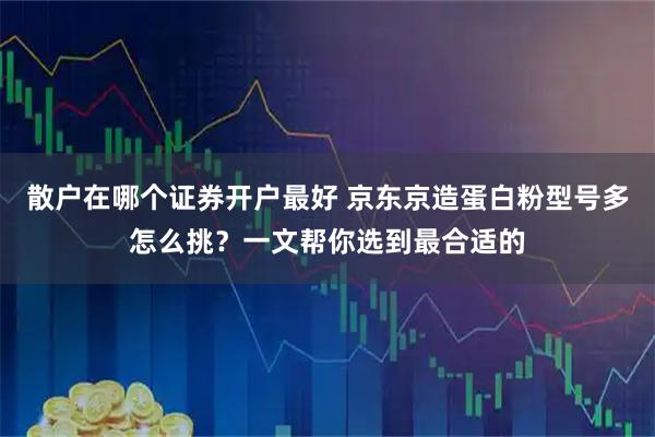 散户在哪个证券开户最好 京东京造蛋白粉型号多怎么挑？一文帮你选到最合适的