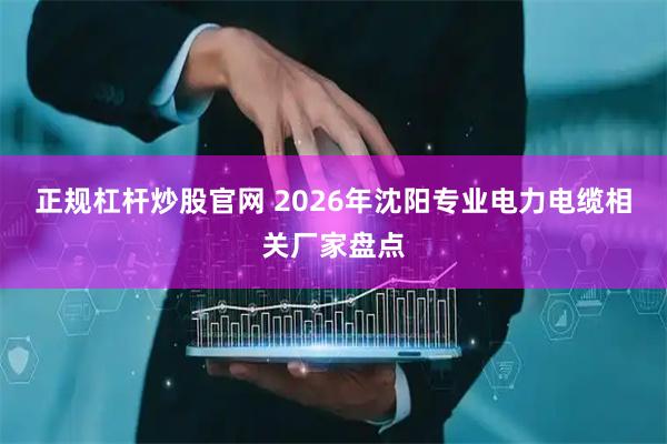 正规杠杆炒股官网 2026年沈阳专业电力电缆相关厂家盘点
