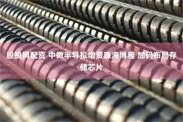 股投网配资 中微半导拟增资珠海博雅 加码布局存储芯片